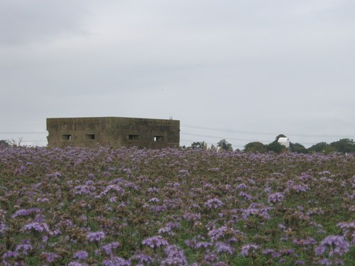 Suffolk Square Pillbox Friston