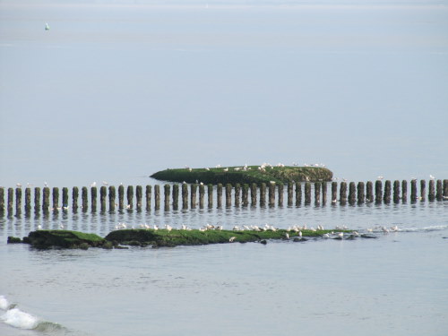 Bunker Westkapelle #1