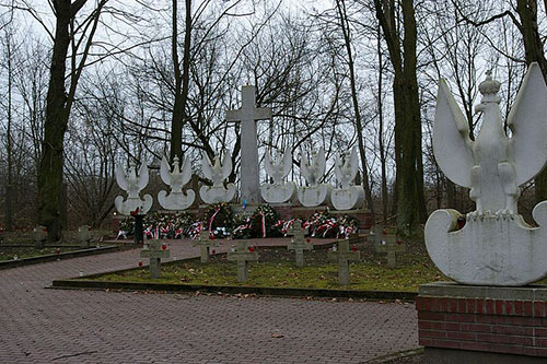 Modlin Fortress Cemetery #3