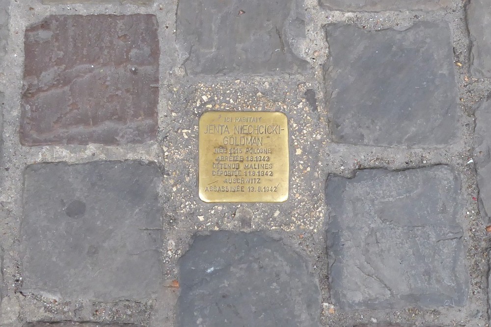 Stumbling Stone Rue Haute 313 #2