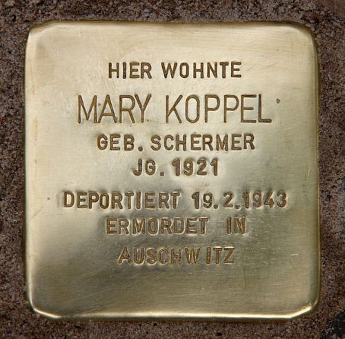 Stolpersteine Handjerystraße 81 #2