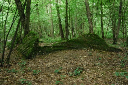 Restant Britse Bunker Bos van Ploegsteert #1