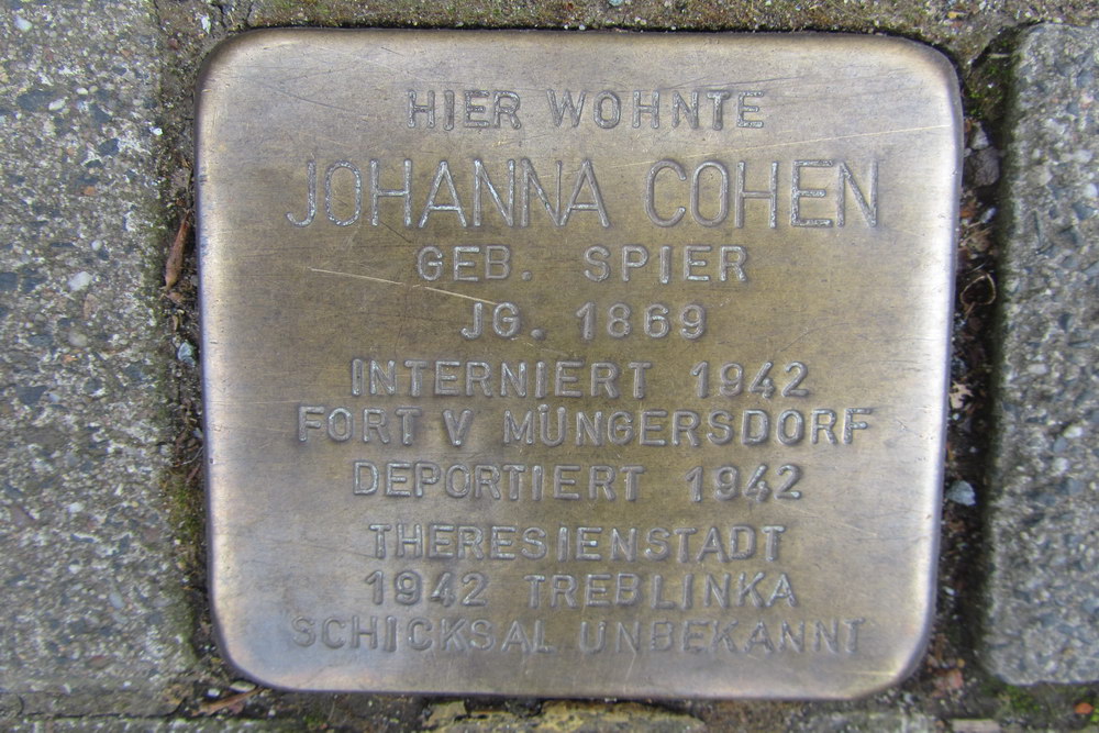 Stolpersteine Theodor-Heuss-Ring 54 #3