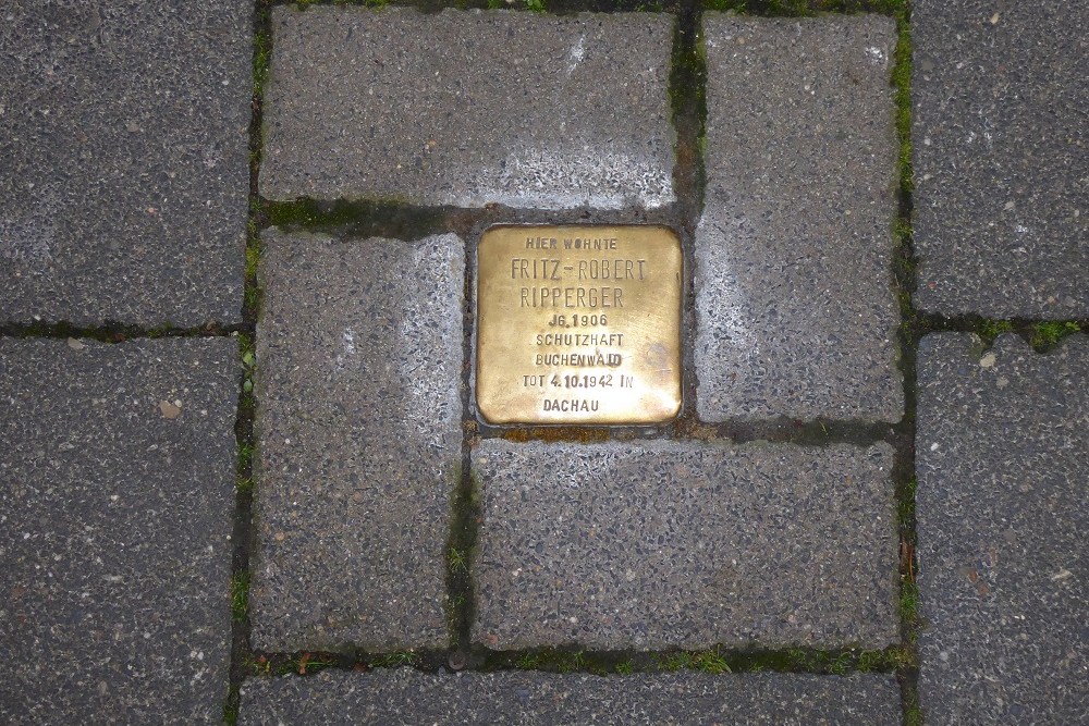 Stolperstein Wermelingstrae 50 #2