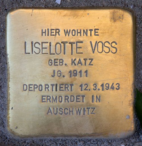 Stolpersteine Thomasiusstraße 5 #3