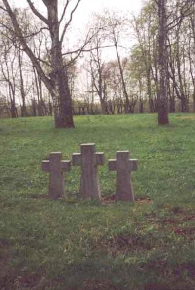 Duitse Oorlogsbegraafplaats Heiligenbeil / Mamonovo #2
