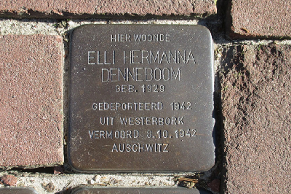 Stolpersteine Paltz 1 #2