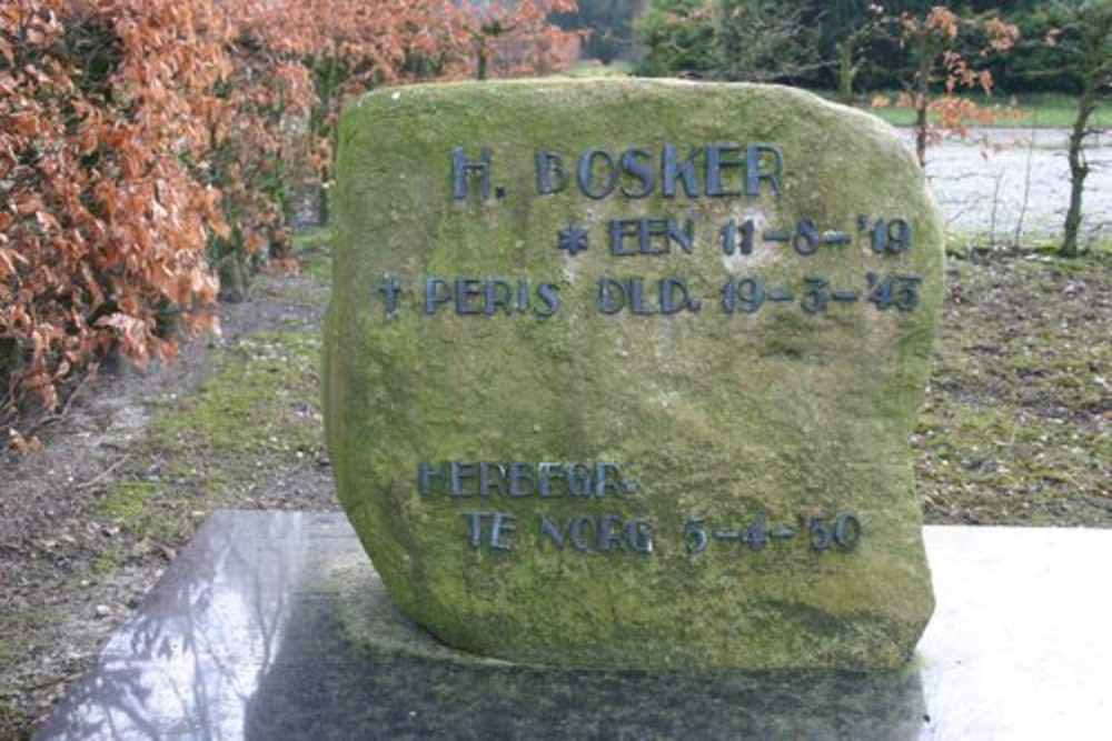 Dutch War Grave Norg #3