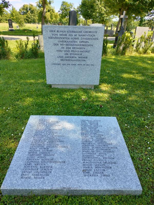 Memorial Nazi Euthanasia Victims Vienna #3