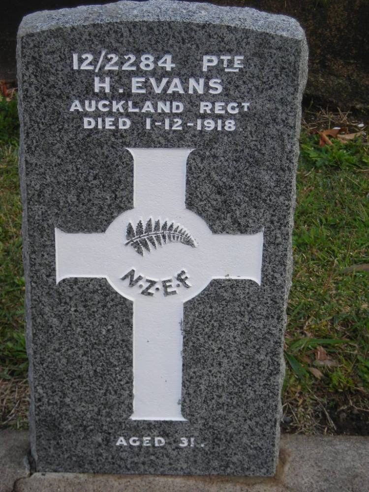 Commonwealth War Grave Katikati Public Cemetery