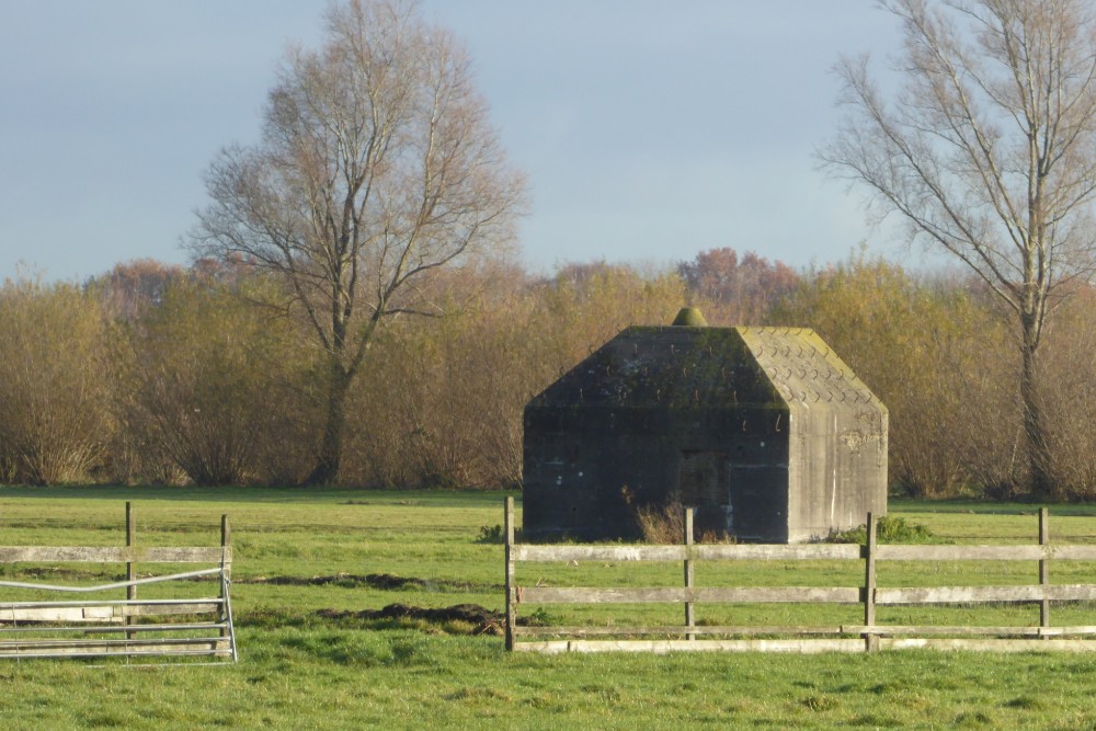 Groepsschuilplaats Type P Fort Ruigenhoek #3