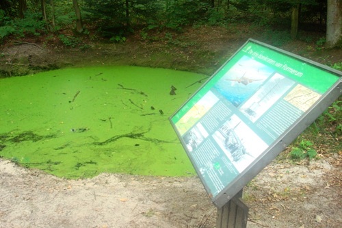 Bomb Craters Formerumerbos