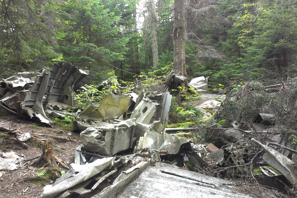 Crash Site & Remains B-24D Liberator 3701H 