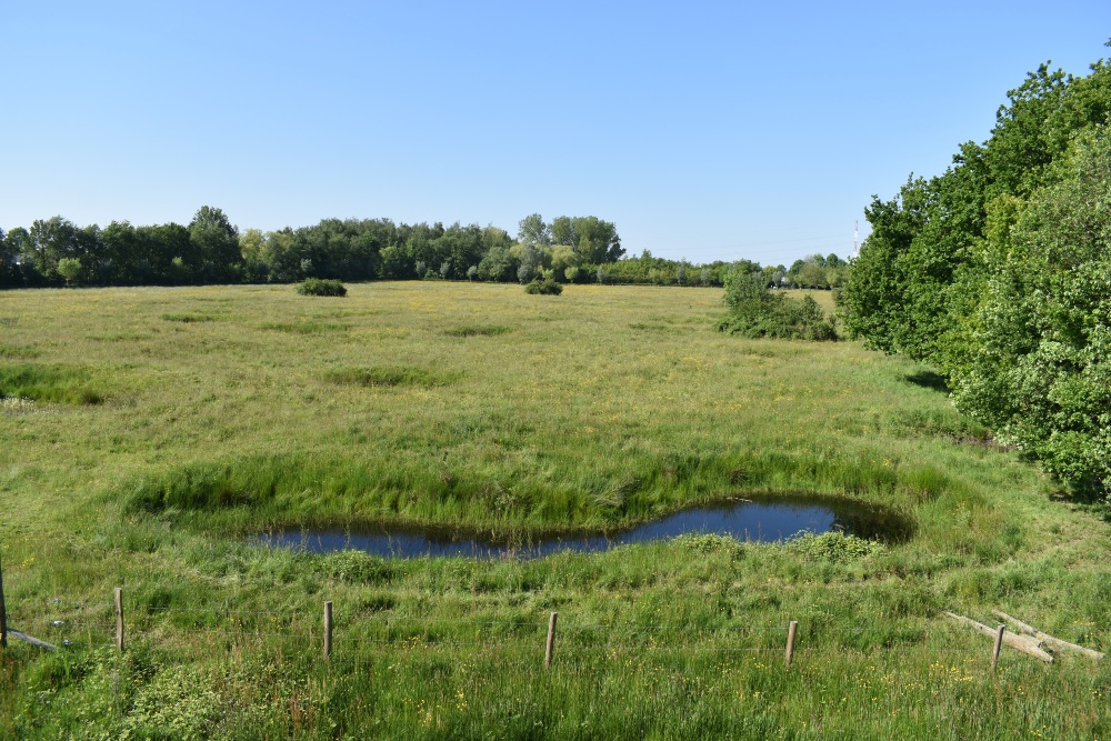 Bomb Craters Tommelen Area Hasselt #4