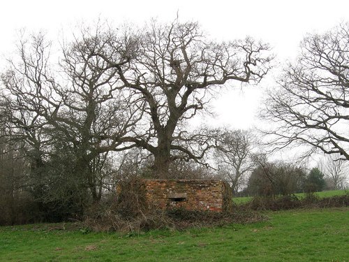 Pillbox FW3/24 Isfield #1