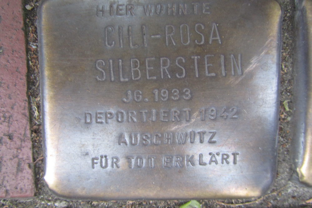 Stolpersteine Kartuserhof 13 #1