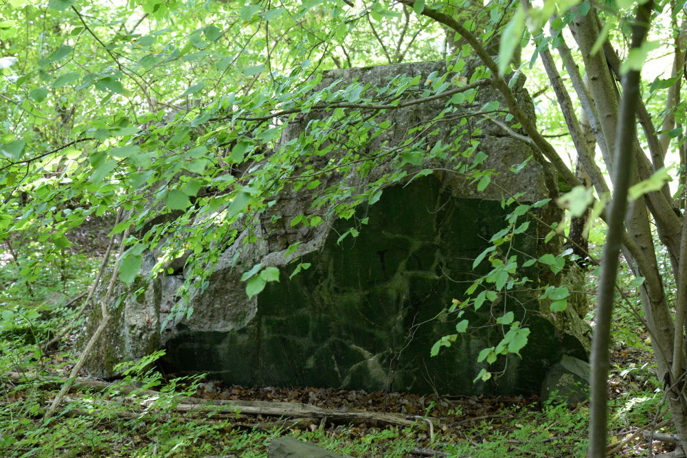 Remains Bunker 344 #3