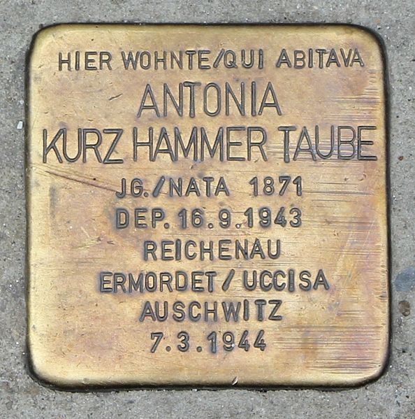 Stolpersteine Via Haller 9