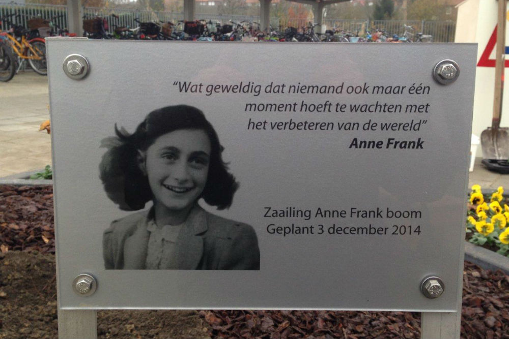 Anne Frankboom Haelen #2