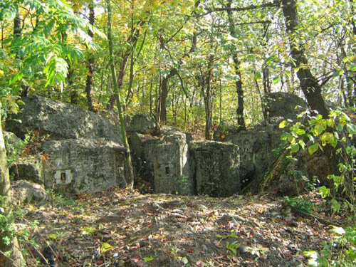 Stalinlinie - Restant Kazemat Nr. 345