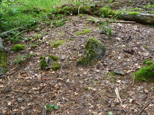 Remains West Wall Bunker 534 (Regelbau 102)