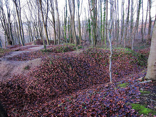 Plateau de Californie Battlefield