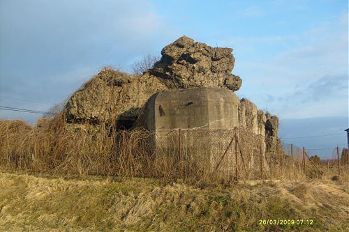 Molotov Line - Remains Casemate Sanok (F)