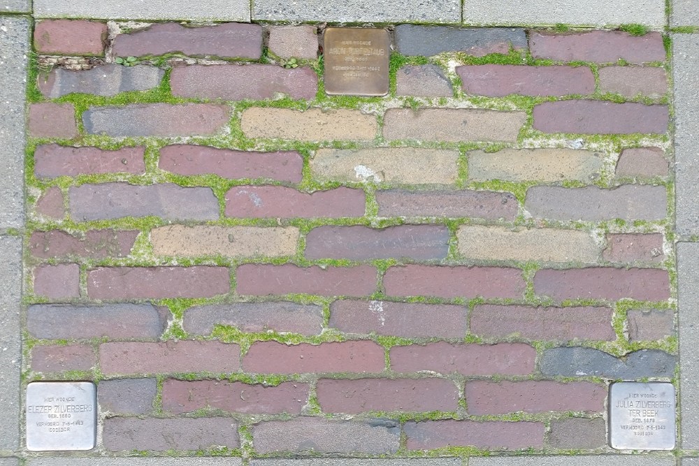 Stumbling Stones Drienerstraat 75