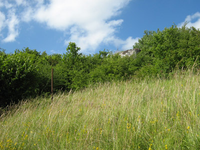 Maginot Line - Ouvrage Velosnes #5