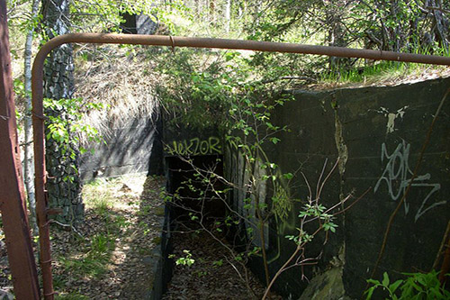 Skav Line - Magelung Fort #4