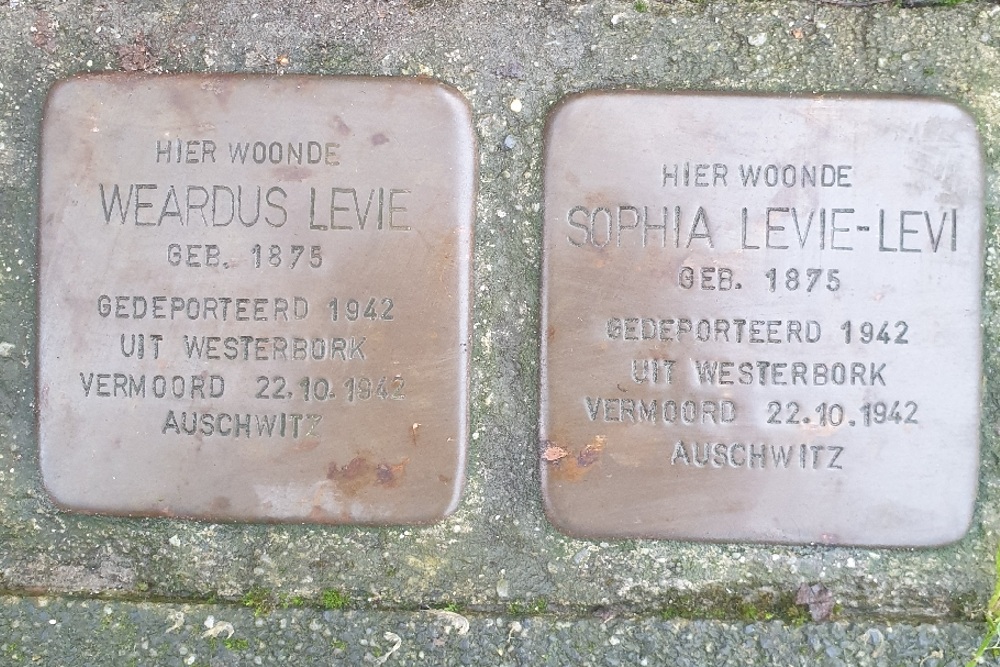 Stolpersteine Minervalaan 2 #3