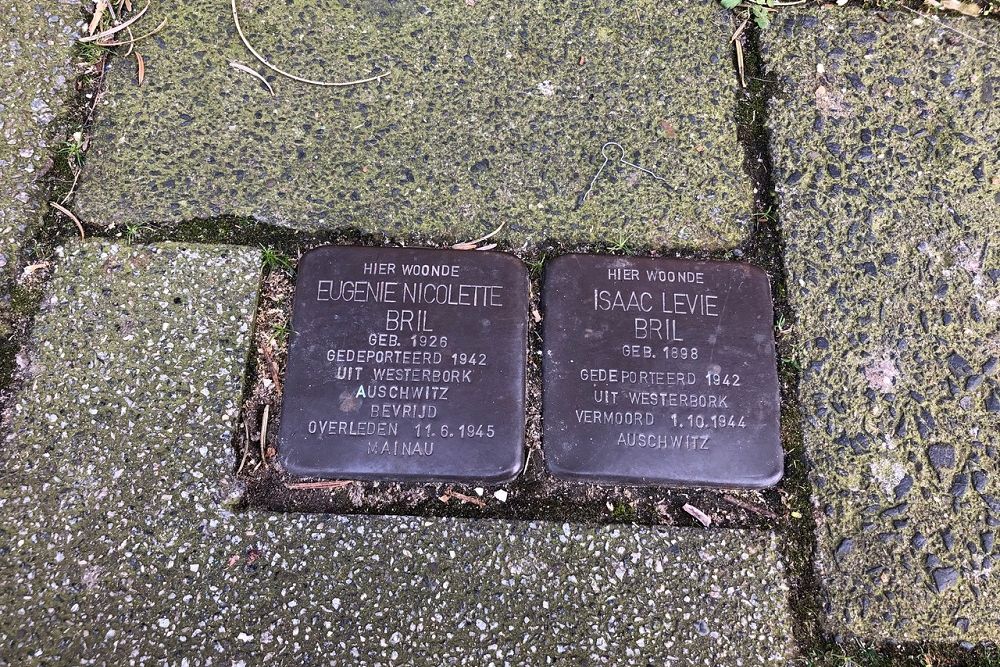 Stolpersteine Mathenesserlaan 417b