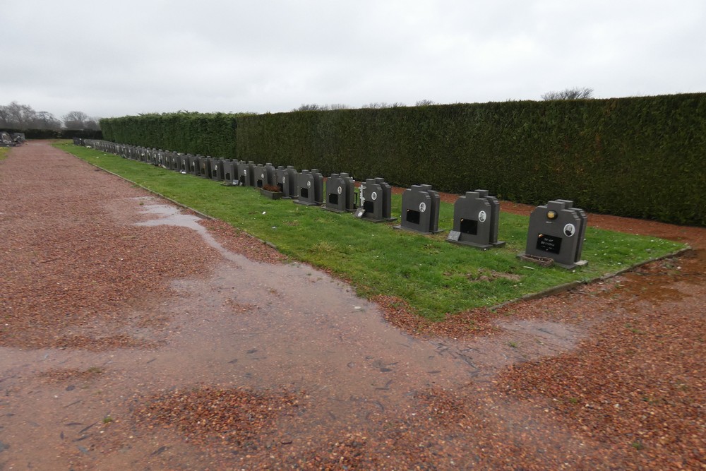 Belgian Graves Veterans Haaltert #3