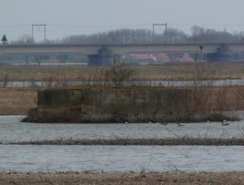 Unfinished Group Shelter Goilberdingerdijk #1