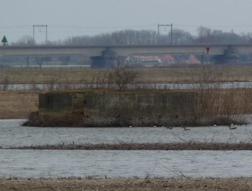 Onvoltooide Groepsschuilplaats Goilberdingerdijk