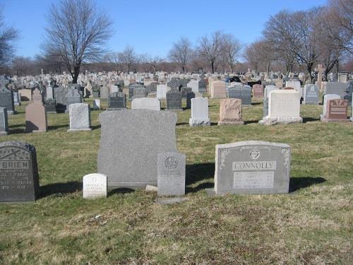 Oorlogsgraf van het Gemenebest New Calvary Cemetery #1