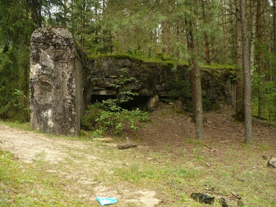 Molotov Line - Casemate Zabickie #1