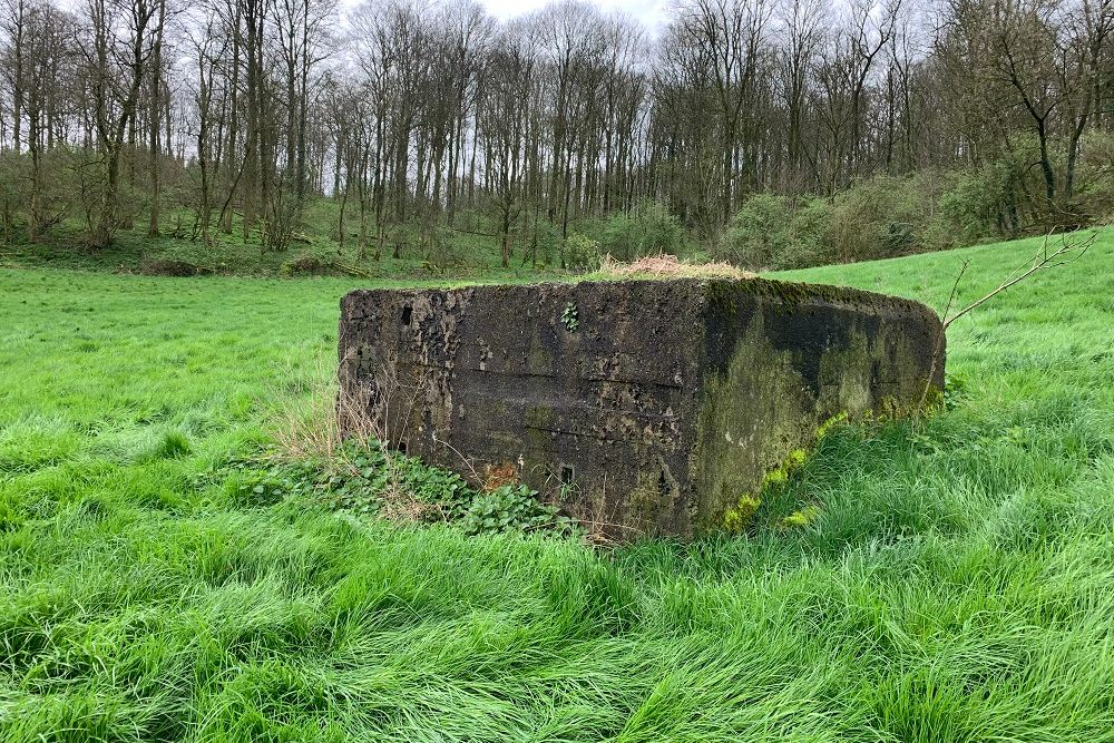 Bunker A - Advanced Position Beusdael #1