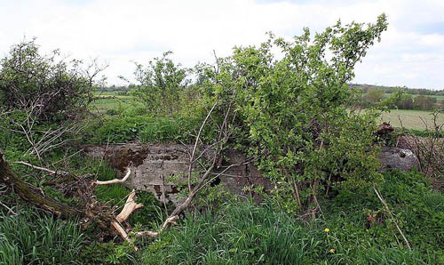 Fortified Region of Silesia - Crenulated Wall