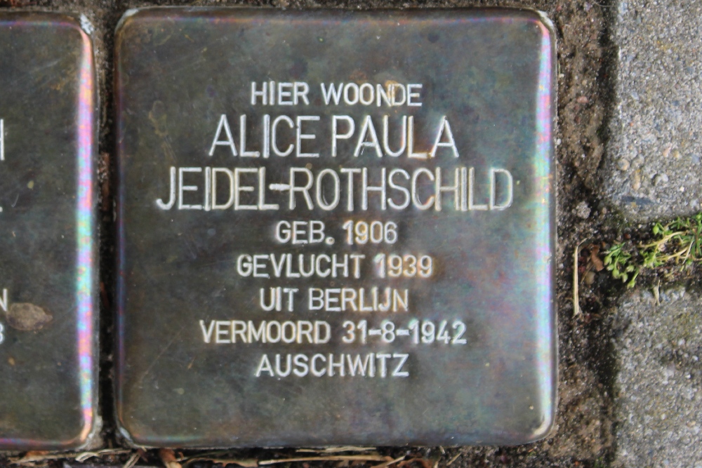 Stolpersteine Dokter Letteplein 4 #4