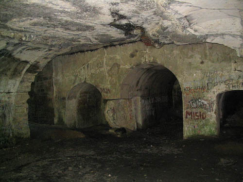 Festung Przemysl - Artillery Fort W X 