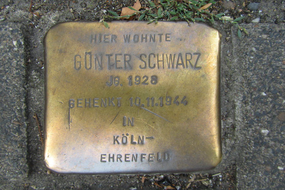 Stolperstein Schönsteinstraße 7 #1