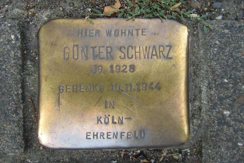 Stolperstein Schnsteinstrae 7 #1