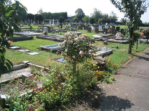 Oorlogsgraven van het Gemenebest Manea Cemetery #1