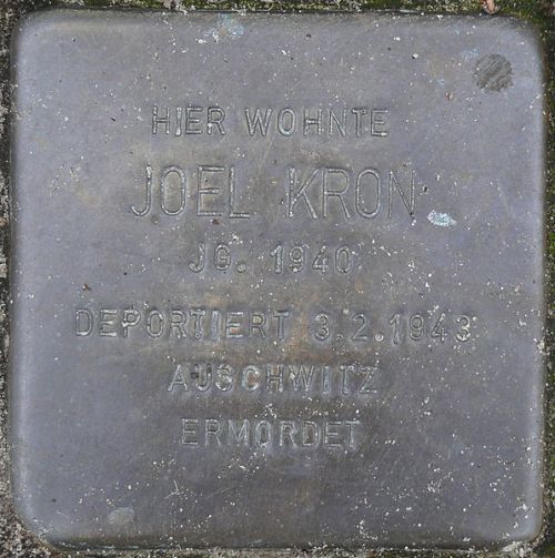 Stolpersteine Kronprinzendamm 11 #3