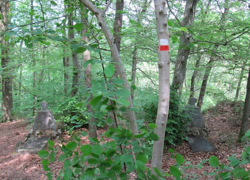 Oorlogsmonument en Belgische Oorlogsgraven Maquis D-reze #5