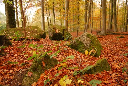 Remains German Bunker Groeneburg Wood