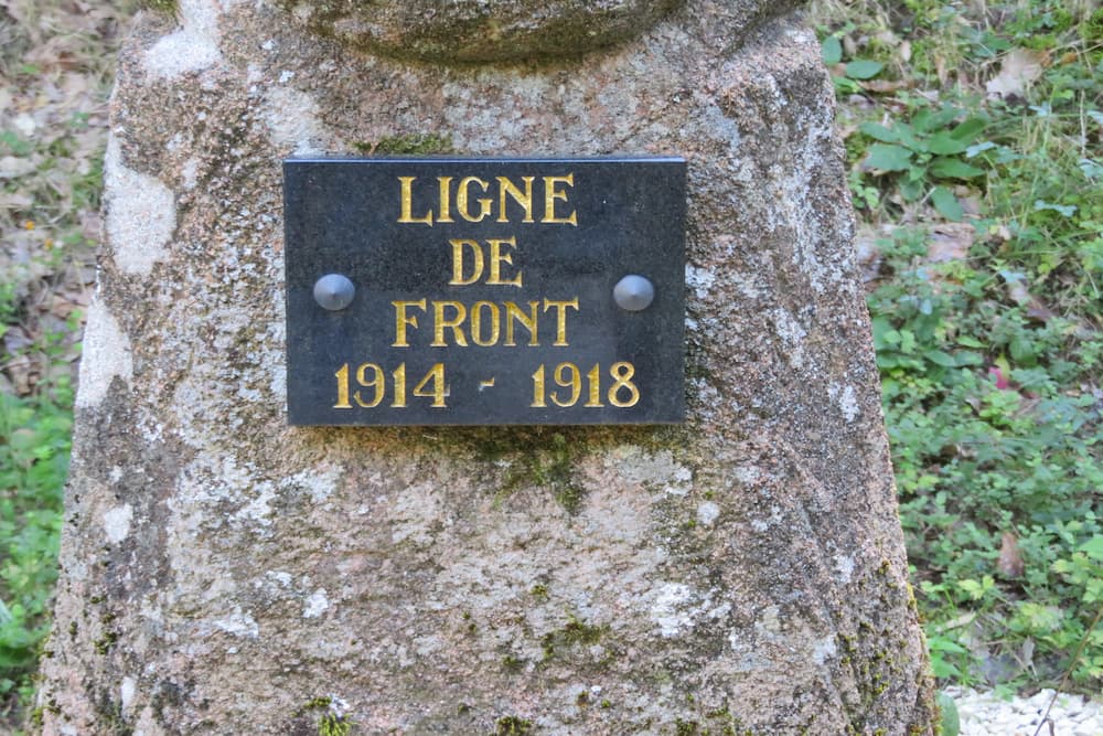 Demarcatie Paal Col de La Chapelotte #3
