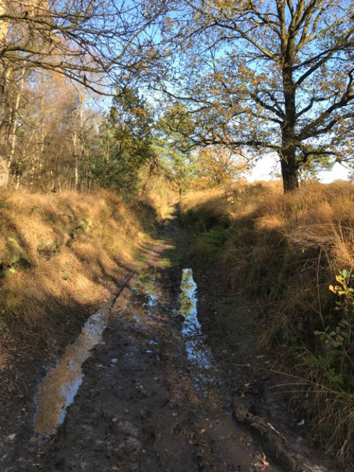 German Antitank Ditch Assen #2