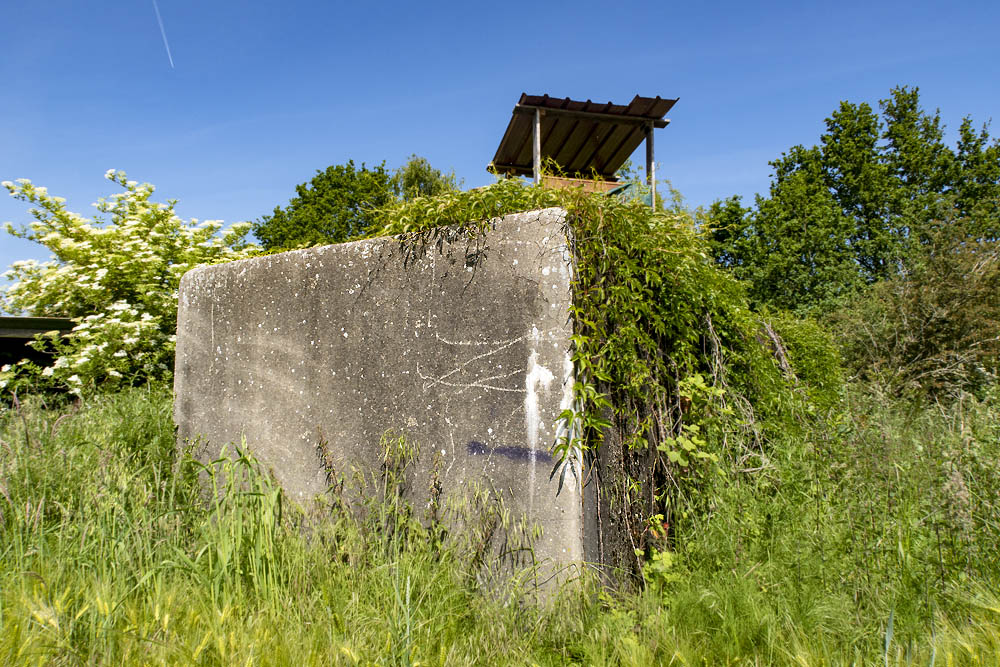 Mitrailleurbunker C Dekkingstelling Eigenbilzen-Briegden #1